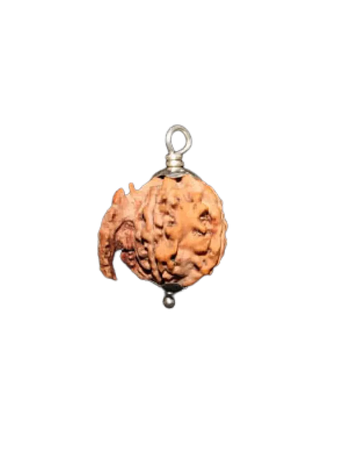 ganesh rudraksha On Sale