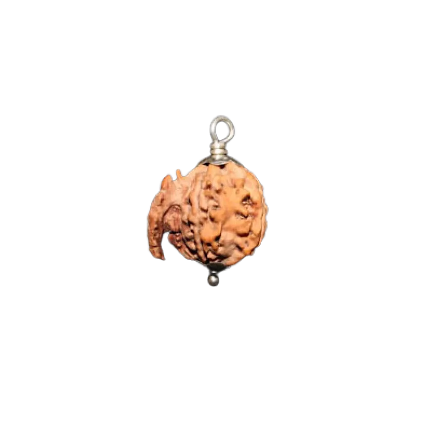 ganesh rudraksha On Sale