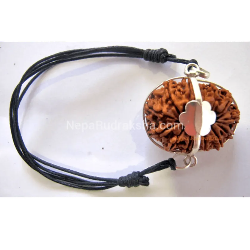 Rudraksha 14 Mukhi (14MB) Best Seller