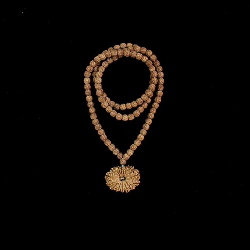 Rudraksha 14 Mukhi Brihaspati (Jupiter) Mahadasha High Quality