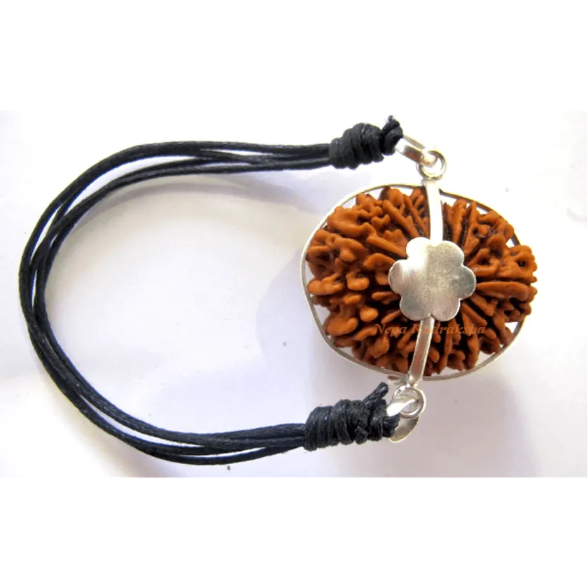 Rudraksha 15 Mukhi (15MB) Free shipping