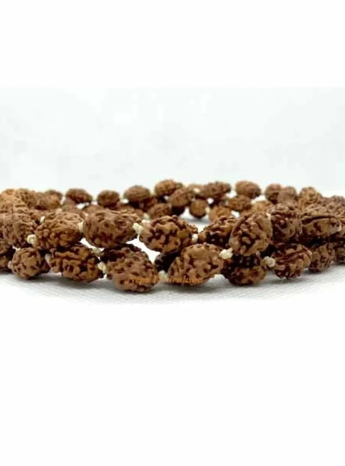 Rudraksha 2 Mukhi Japa Mala Best Seller