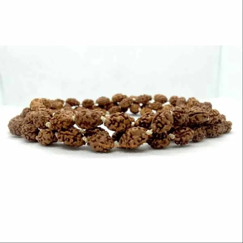 Rudraksha 2 Mukhi Japa Mala Best Seller