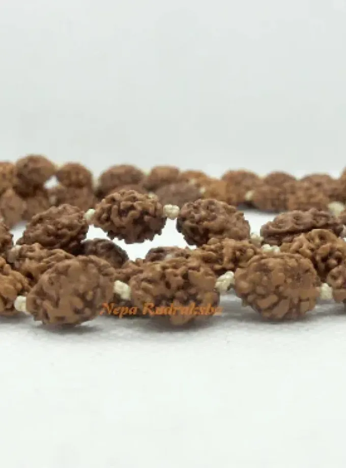 Rudraksha 3 Mukhi Japa Mala Best Seller