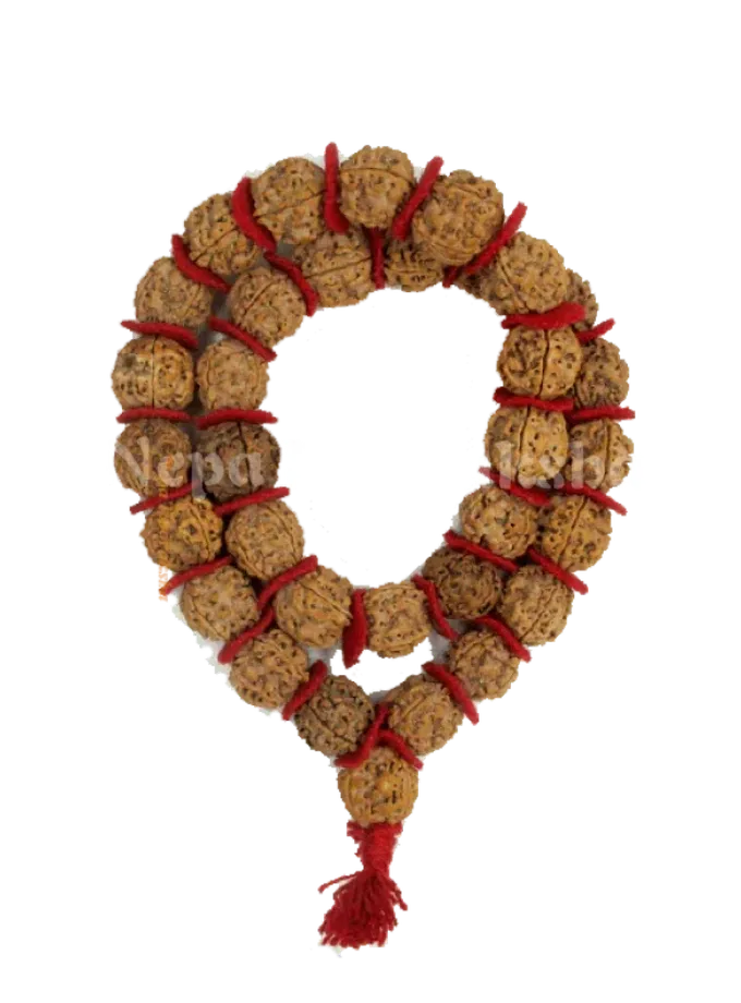 Rudraksha 3 Mukhi Kantha Mala High Quality