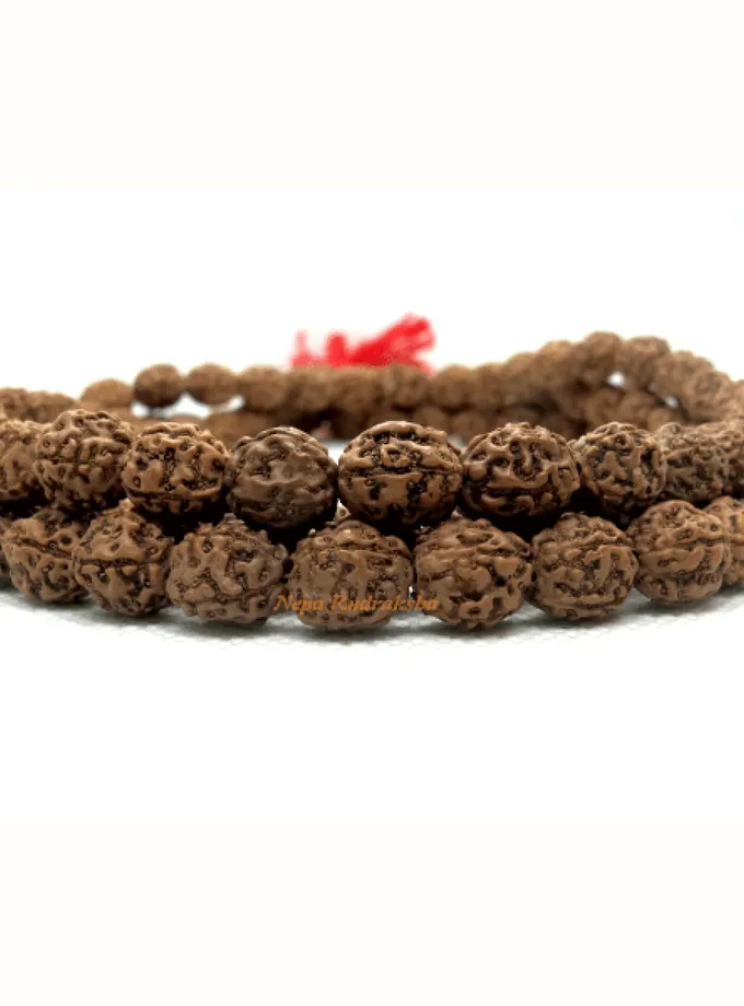 Rudraksha 4 Mukhi Japa Mala For Sale