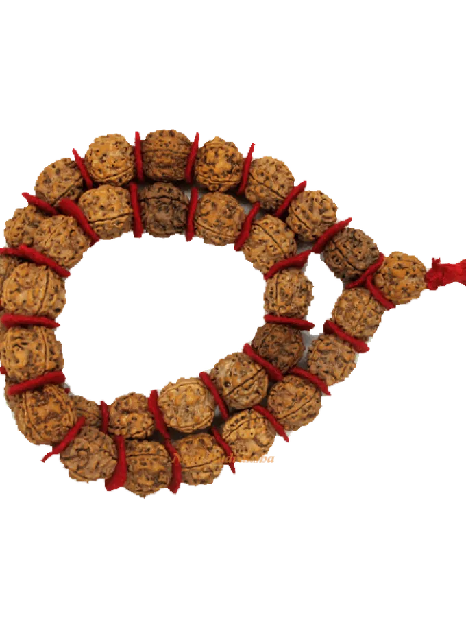 Rudraksha 4 Mukhi Kantha Mala Best Buy