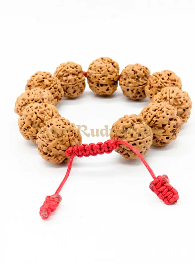 Rudraksha 5 Mukhi Bracelet Same Day Delivery