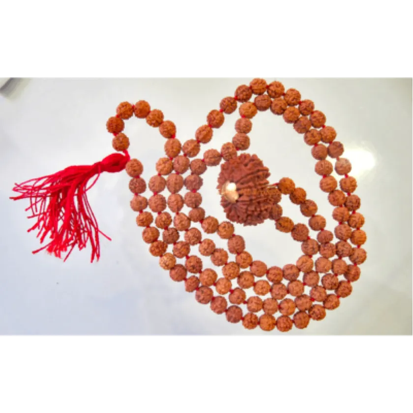 Rudraksha 5 Mukhi Brihaspati Mala (14 Mukhi Guru Bead) Best Price