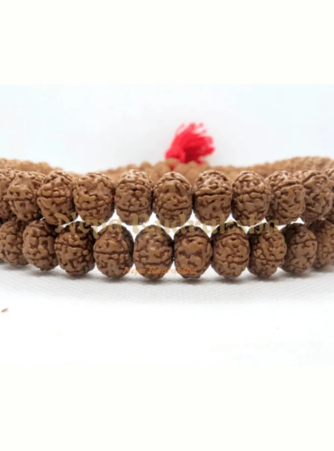 Rudraksha 5 Mukhi Japa Mala High Quality