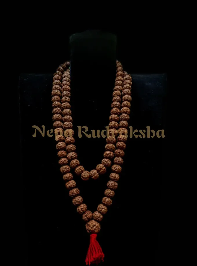 Rudraksha 5 Mukhi Japa Mala (Nepali) High Quality