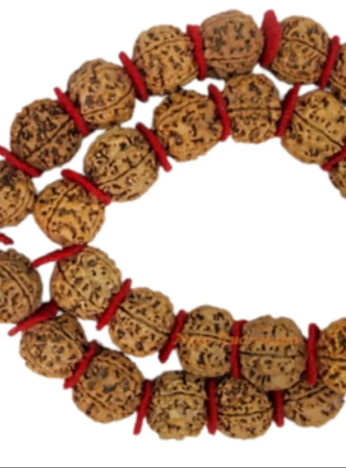 Rudraksha 5 Mukhi Kantha Mala Best Buy