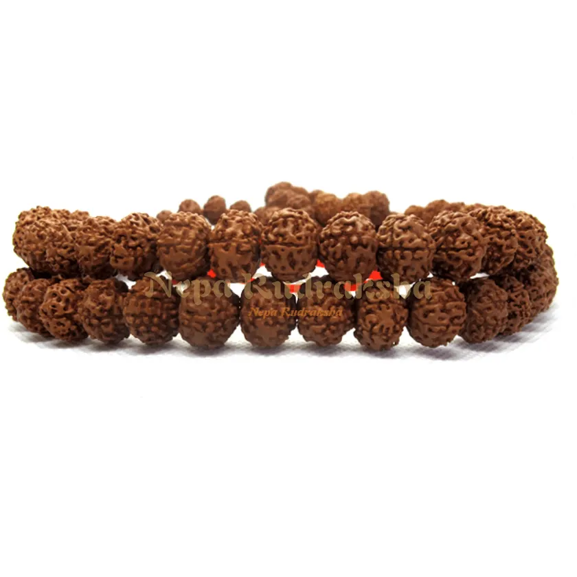 Rudraksha 7 Mukhi Japa Mala On Sale