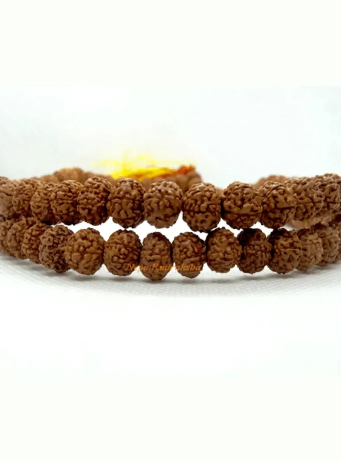 Rudraksha 9 Mukhi Japa Mala Best Buy