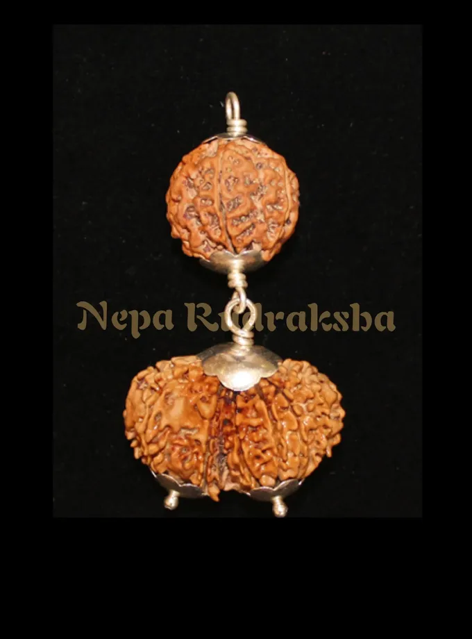 Rudraksha Aquarius (Kumbha) Combination Free shipping