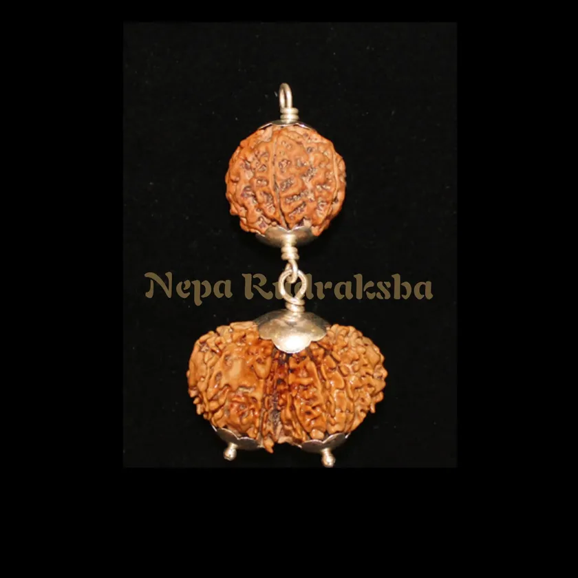 Rudraksha Aquarius (Kumbha) Combination Free shipping