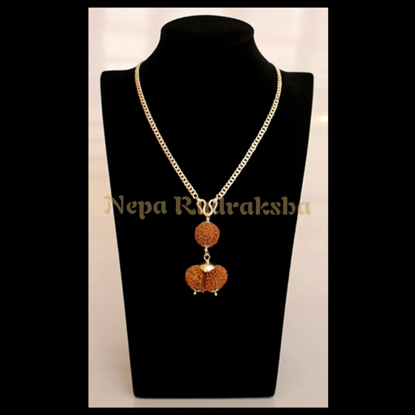 Rudraksha Aquarius (Kumbha) Combination Free shipping