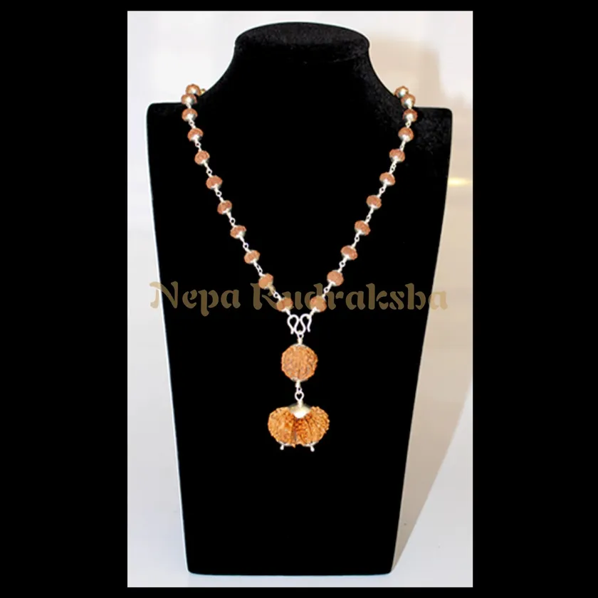 Rudraksha Aquarius (Kumbha) Combination Free shipping