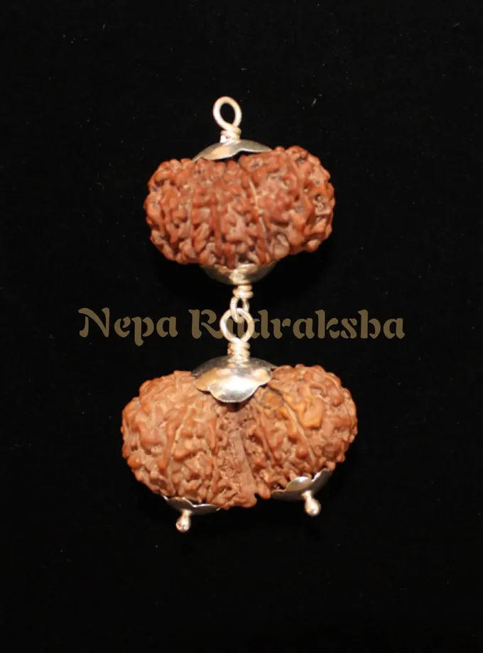 Rudraksha Aries (Mesha) Combination On Sale