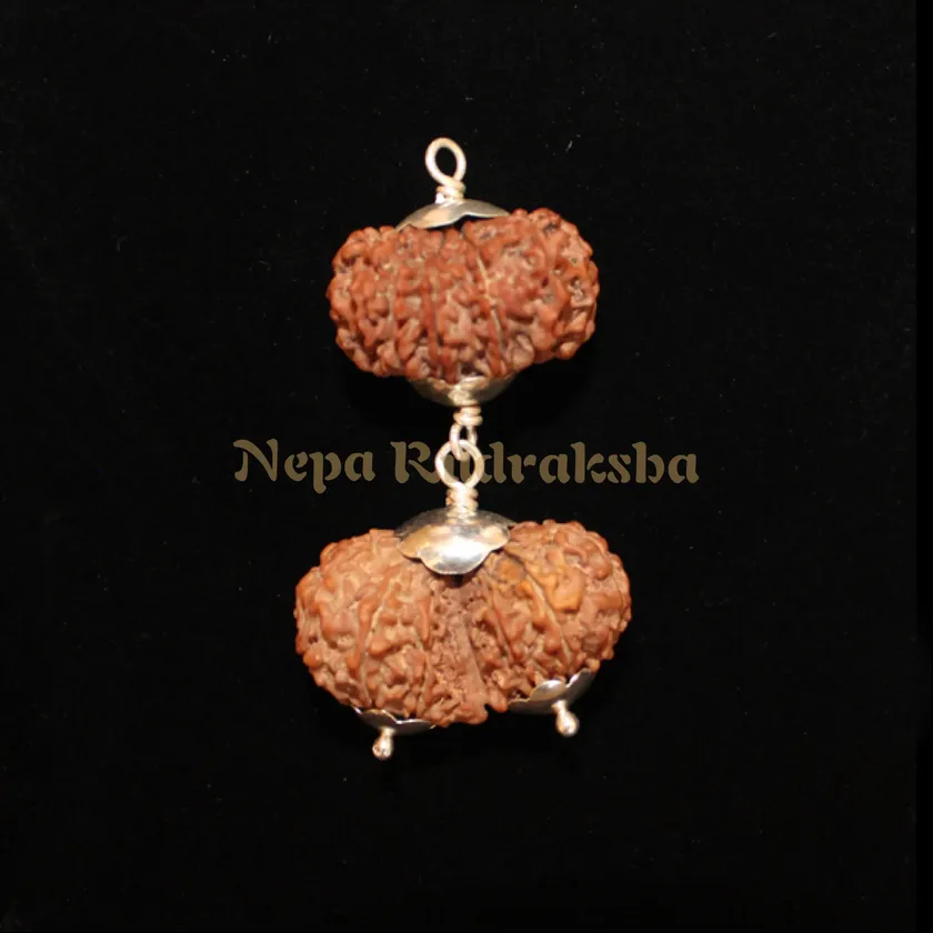 Rudraksha Aries (Mesha) Combination On Sale