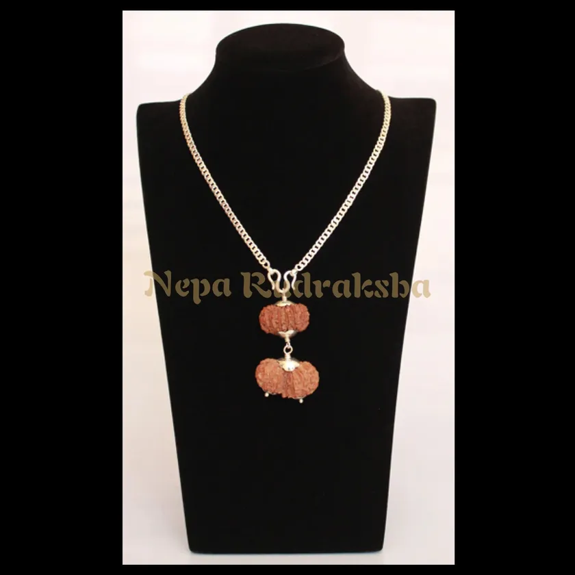 Rudraksha Aries (Mesha) Combination On Sale