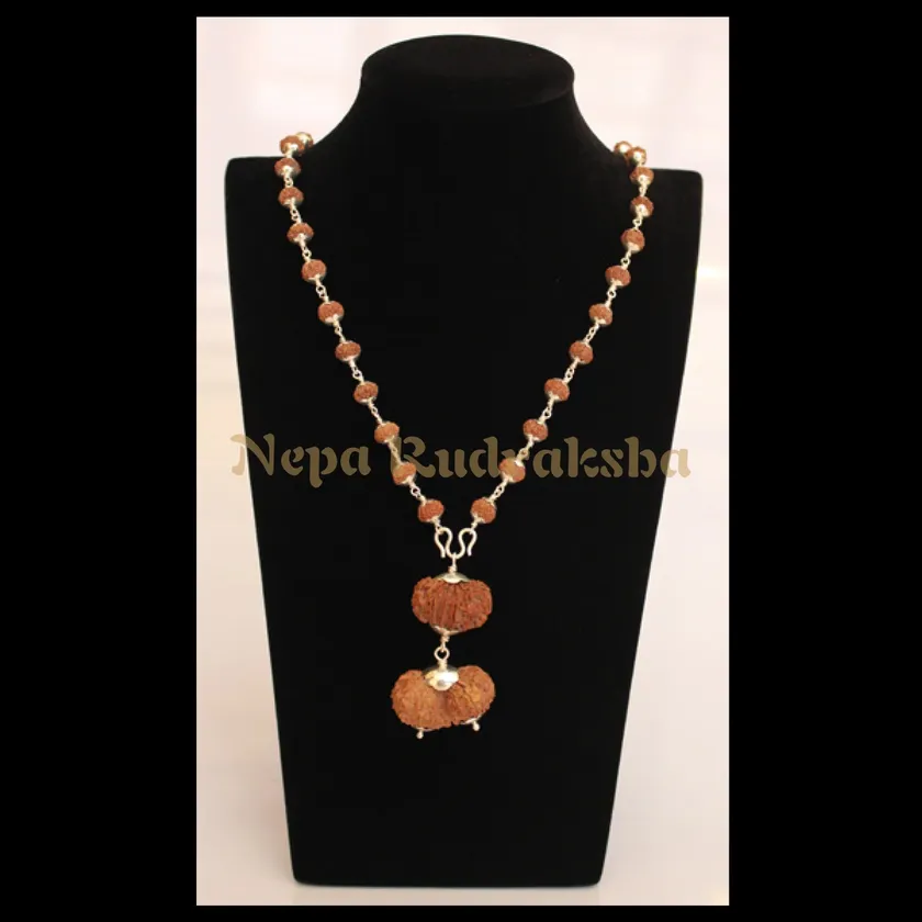 Rudraksha Aries (Mesha) Combination On Sale