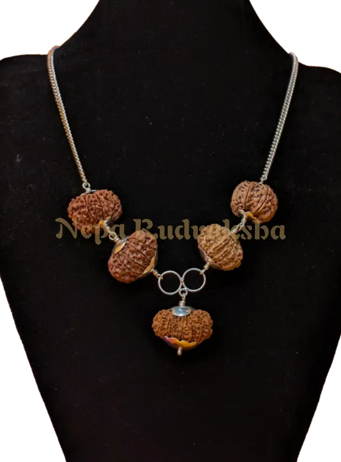 Rudraksha Astha Laxmi Combination Free shipping