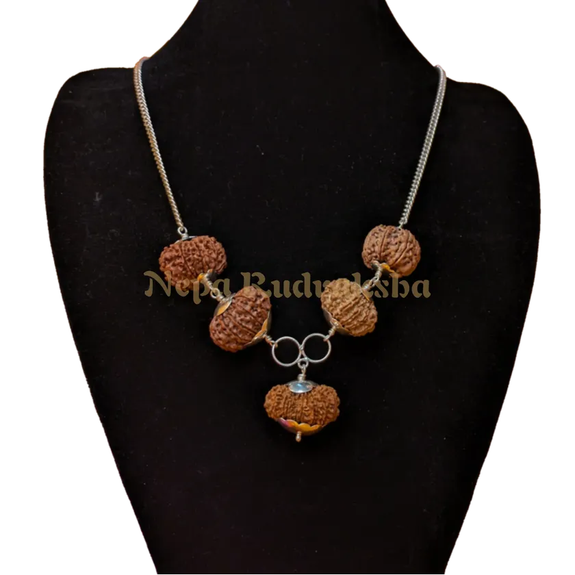 Rudraksha Astha Laxmi Combination Free shipping