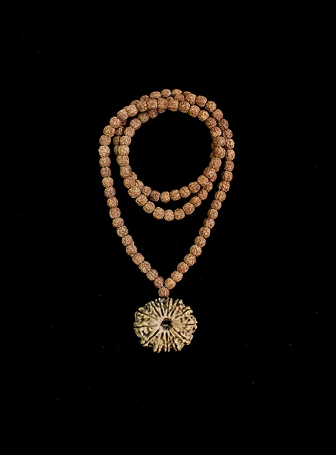 Rudraksha Buddha (Mercury) Mahadasha Best Seller