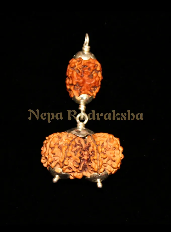 Rudraksha Cancer (Kark) Combination Best Price