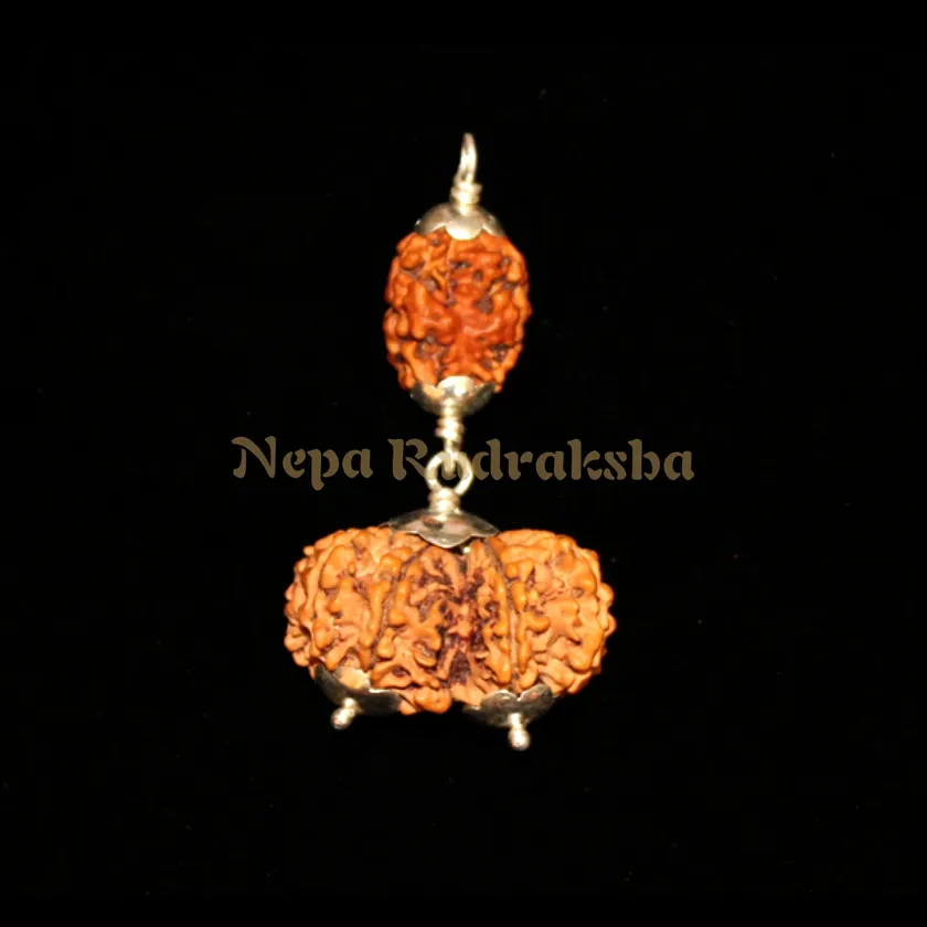 Rudraksha Cancer (Kark) Combination Best Price