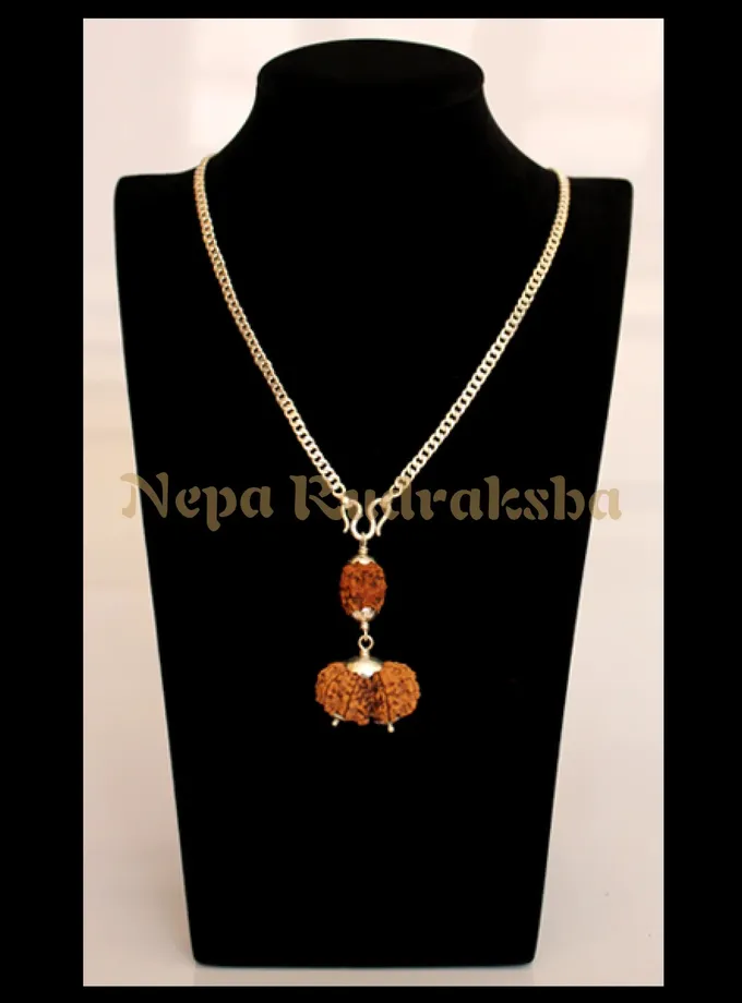 Rudraksha Cancer (Kark) Combination Best Price