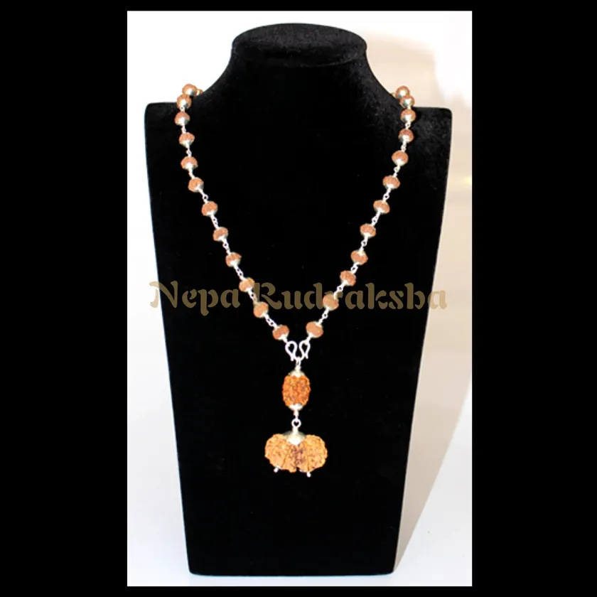 Rudraksha Cancer (Kark) Combination Best Price