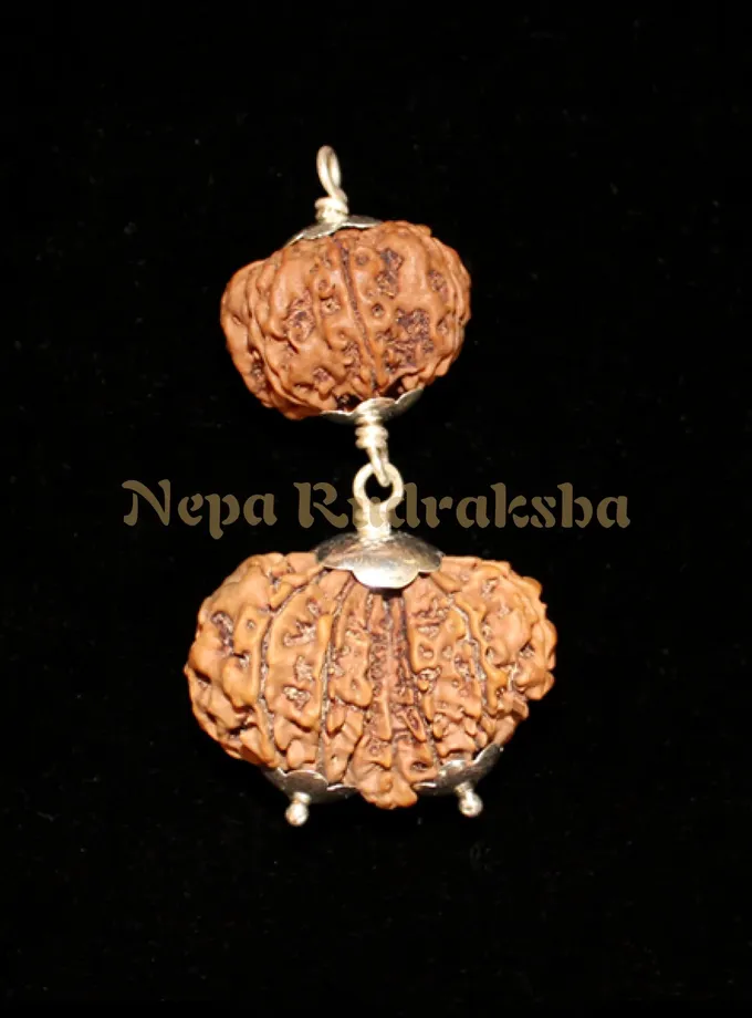 Rudraksha Capricorn (Makara) Combination High Quality