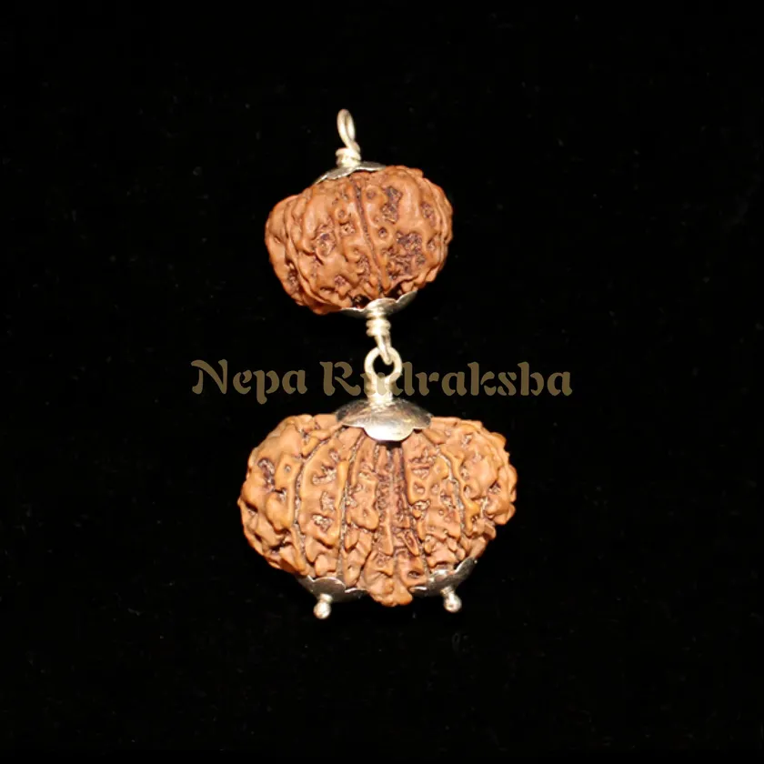 Rudraksha Capricorn (Makara) Combination High Quality