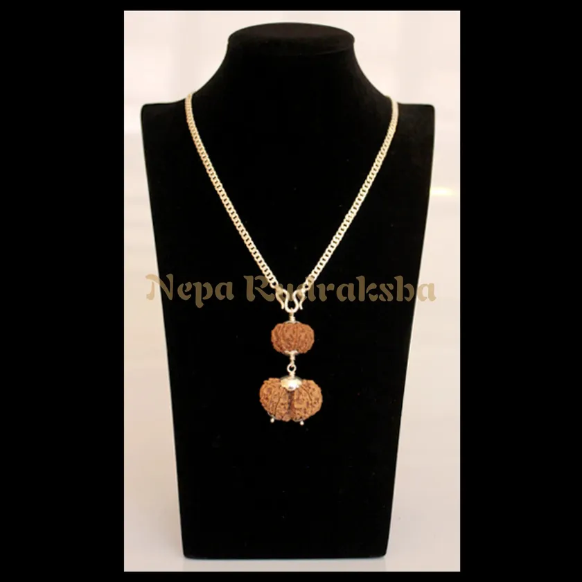 Rudraksha Capricorn (Makara) Combination High Quality