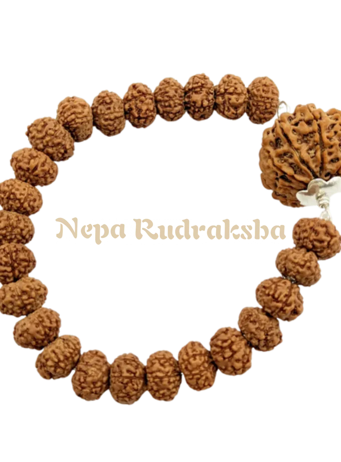 Rudraksha Dhanvir Samriddhi Bracelet New Arrival