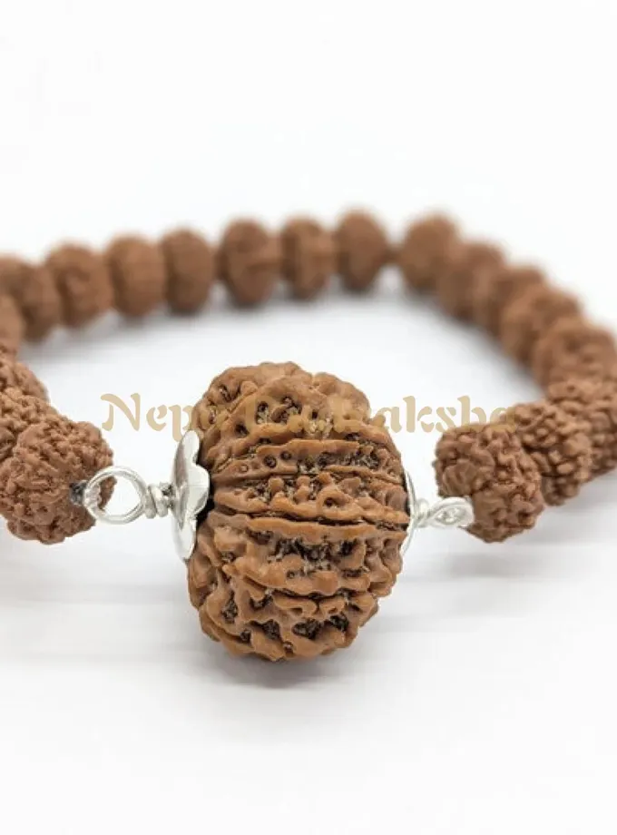 Rudraksha Dhanvir Samriddhi Bracelet New Arrival