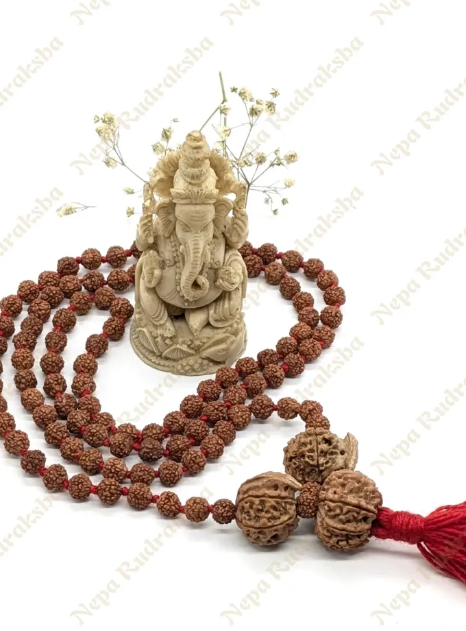 Rudraksha Ganesh Sadhana Combination High Quality