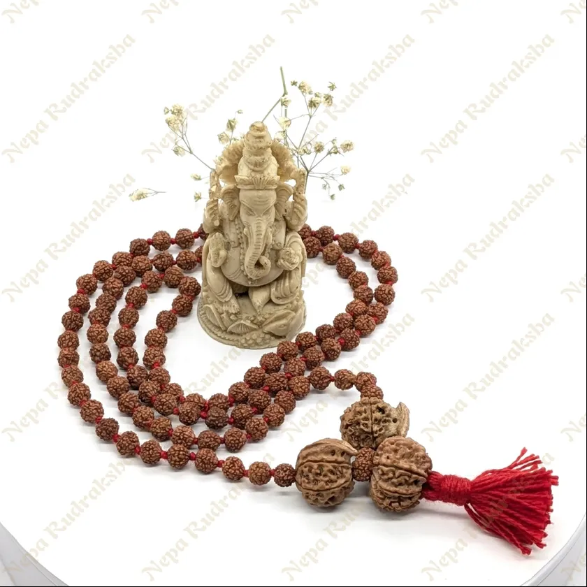 Rudraksha Ganesh Sadhana Combination High Quality