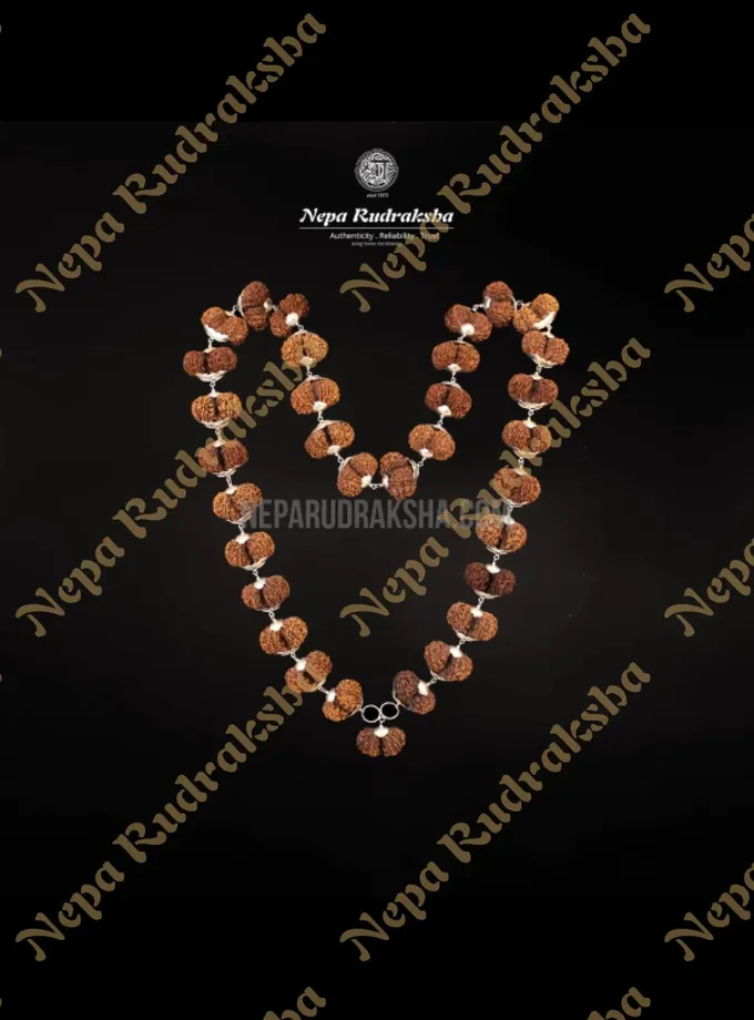 Rudraksha Gauri Shankar Siddha Mala On Sale