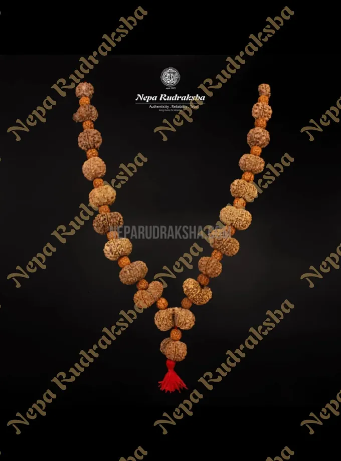 Rudraksha Gayatri Siddha Mala Free shipping