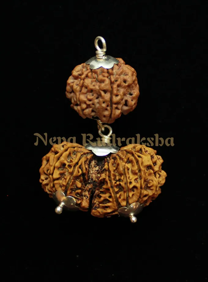 Rudraksha Gemini (Mithun) Combination High Quality