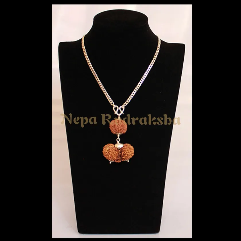 Rudraksha Gemini (Mithun) Combination High Quality