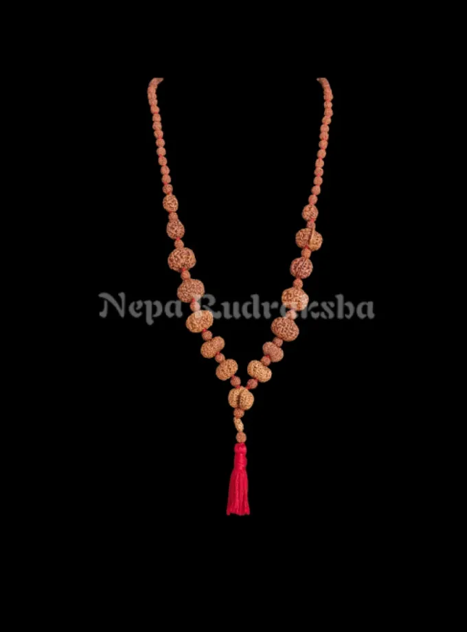 Rudraksha Indonesian Siddha Mala Best Price