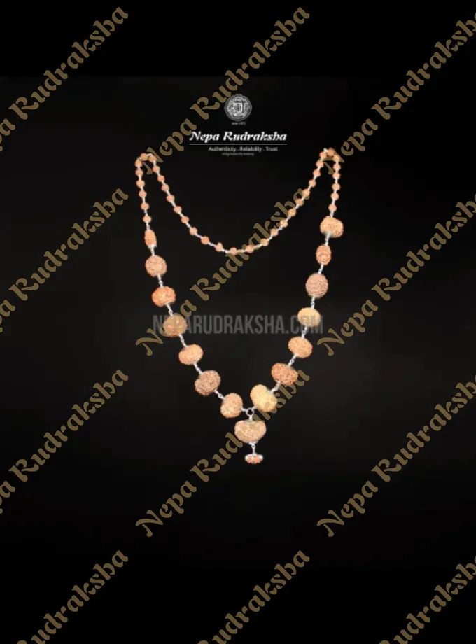 Rudraksha Indonesian Siddha Mala Best Price