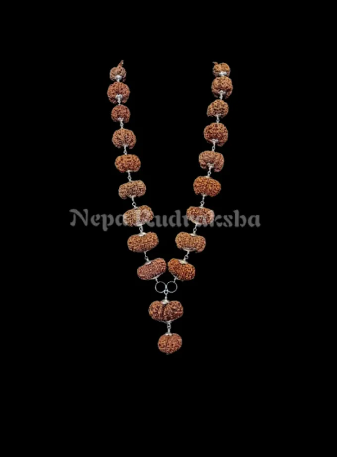 Rudraksha Karya Siddha Mala Free shipping