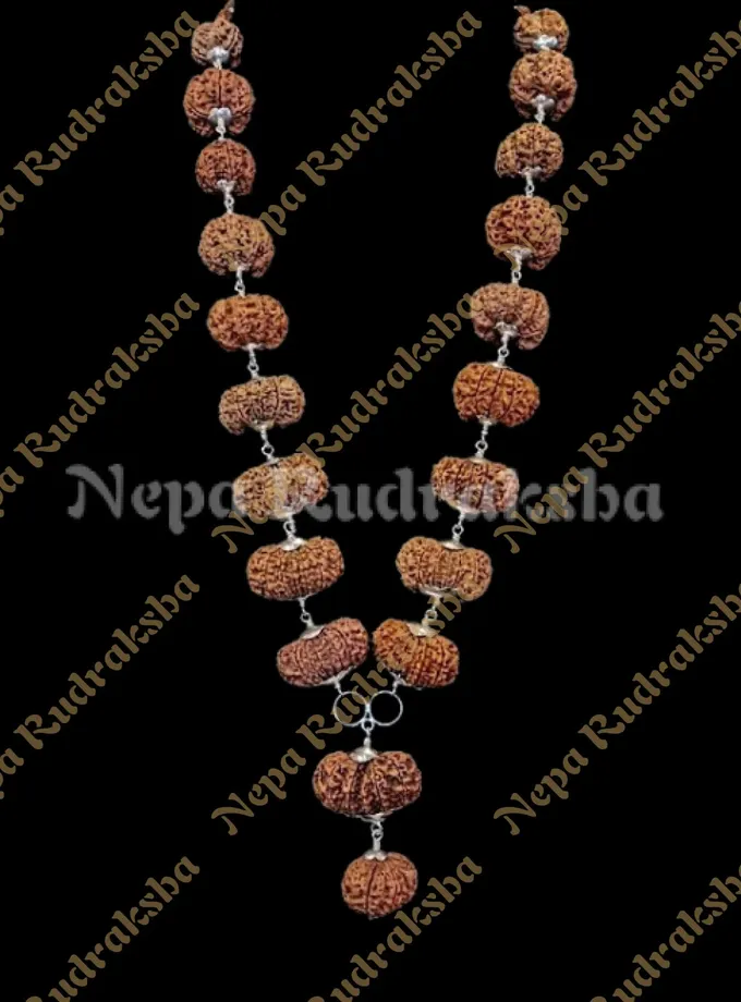 Rudraksha Karya Siddha Mala Free shipping