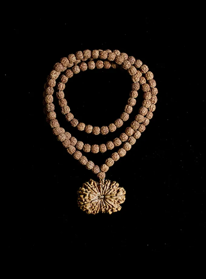 Rudraksha Ketu Mahadasha New Arrival