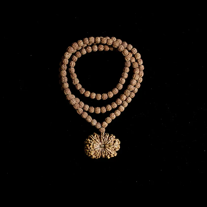 Rudraksha Ketu Mahadasha New Arrival